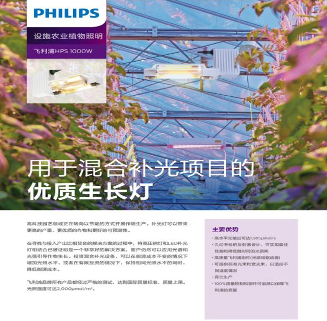 飞利浦HPS 1000W