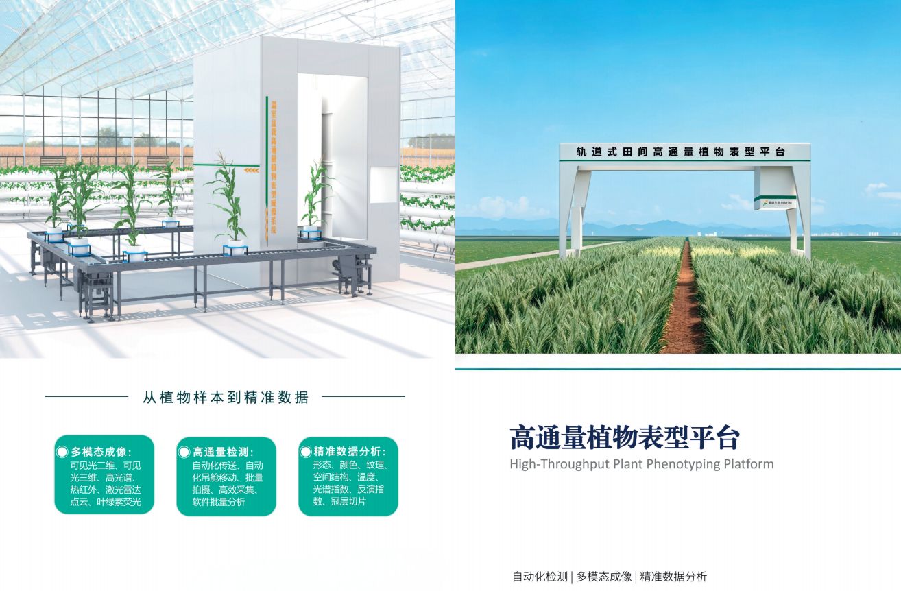 高通量植物表型平台