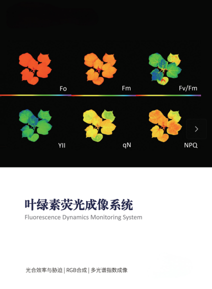 叶绿素荧光成像系统