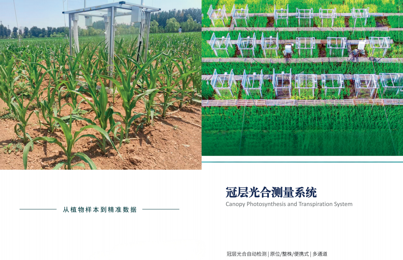 冠层光合测量系统