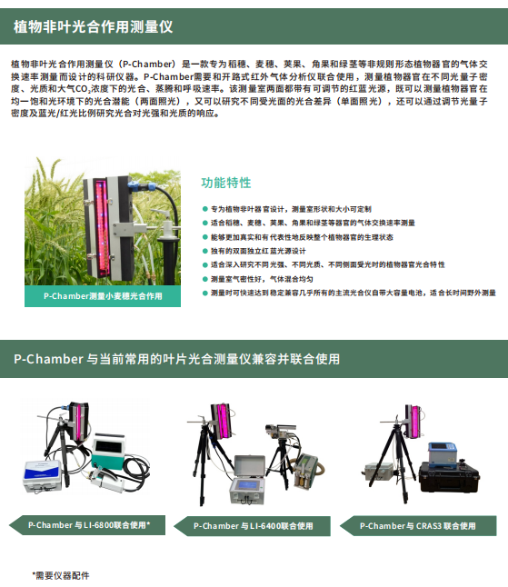植物非叶光合作用测量仪